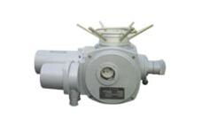 核级阀门电动装置的产品分类,核级阀门电动装置的产品分类生产厂家,核级阀门电动装置的产品分类价格