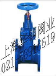 fdz45x 16加密防盗软密封闸阀