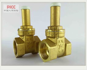 浙江宝水 k137 dn50铜闸阀 玉环县宝水阀门厂