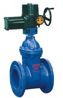 电动弹性座封闸阀_RVEX电动弹性座封闸阀DN50~600_阀门栏目